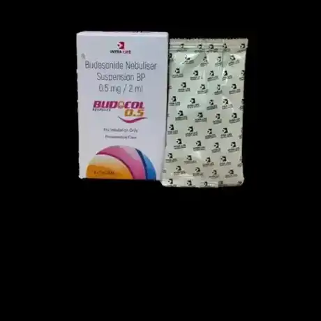 BUDOCOL-0.5 RESPULES official Intra Life product image