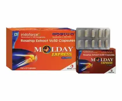 MOLDAY EXPRESS official Intra Life product image