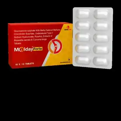 MOLDAY FORTE official product image