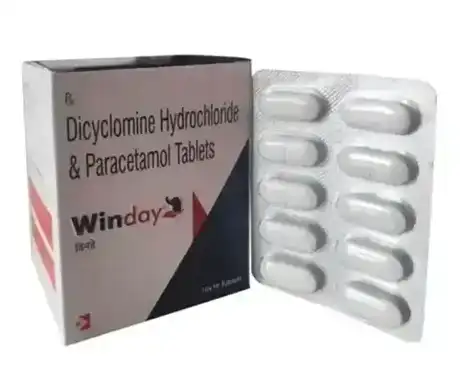 WINDAY official Intra Life product image