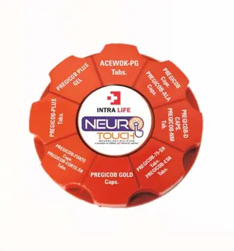 Paper Weight (Small) - Intra Life promotional gift